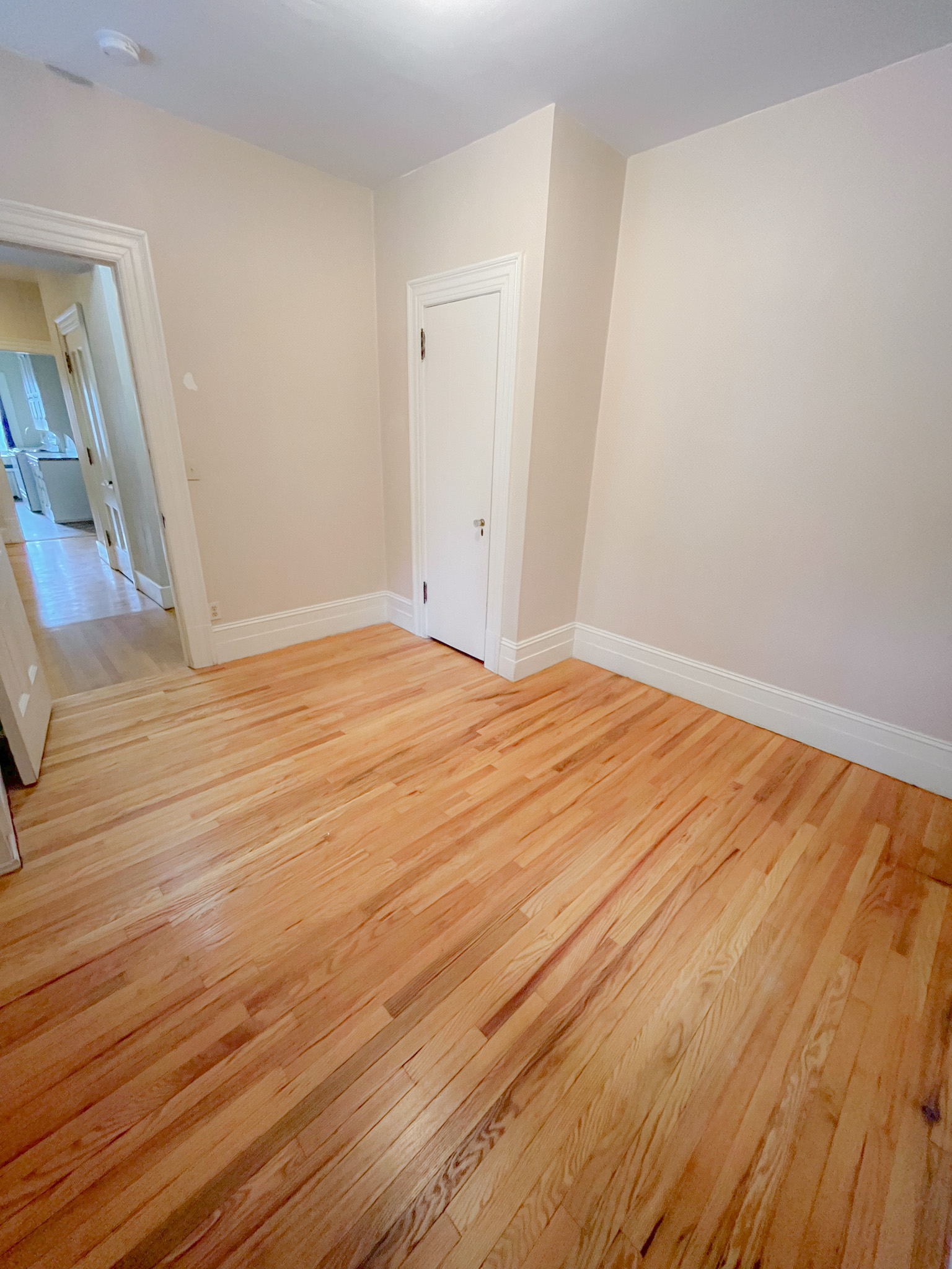 241 Clinton Street - 4